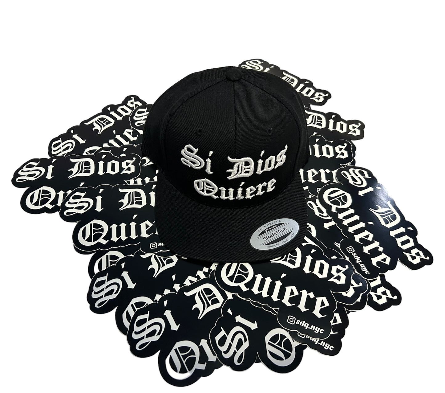 SDQ Snapback