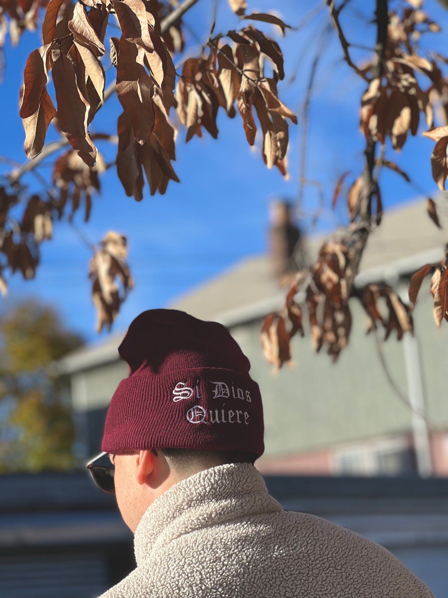 SDQ BEANIE (MAROON)