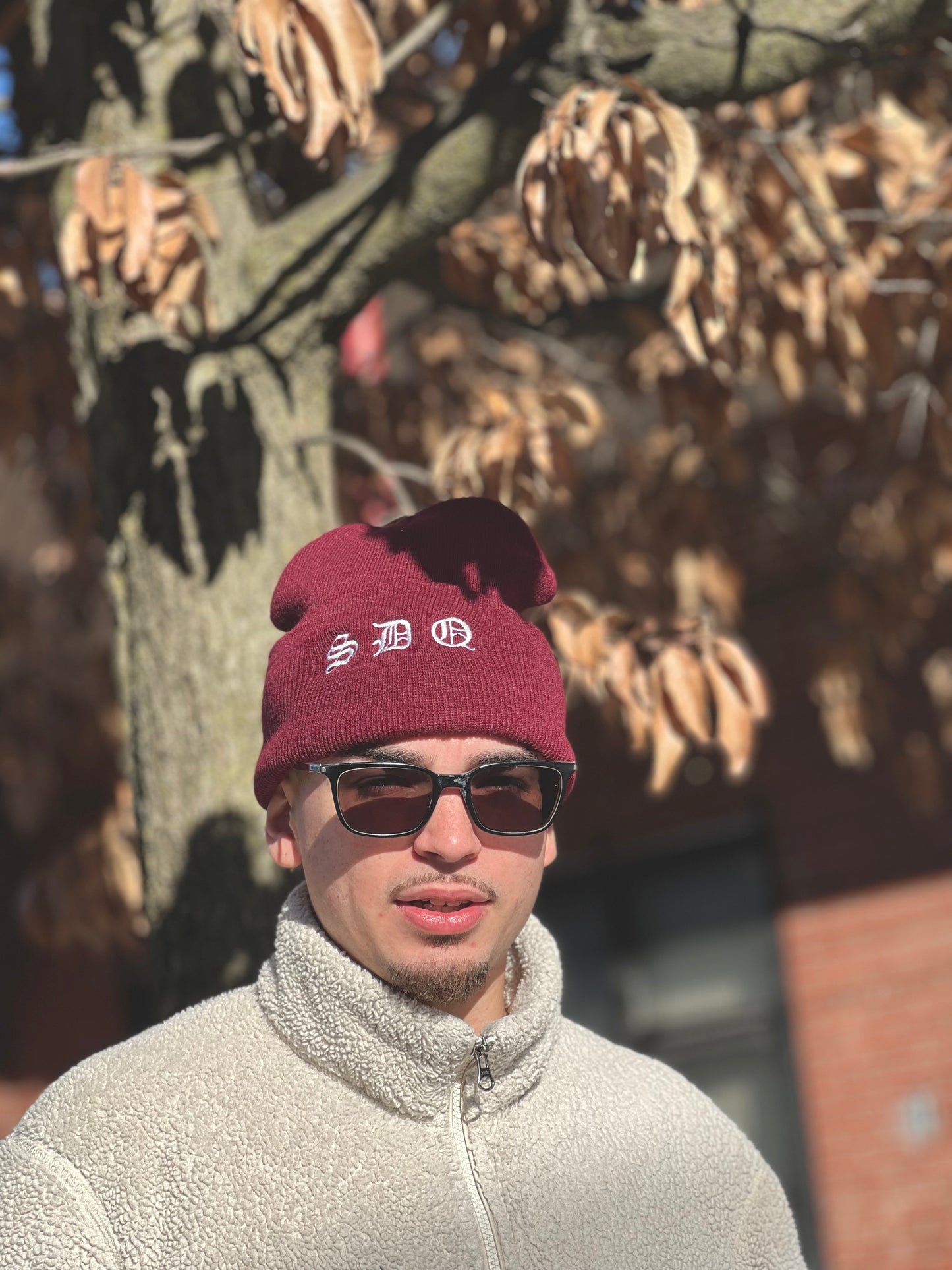 SDQ BEANIE (MAROON)